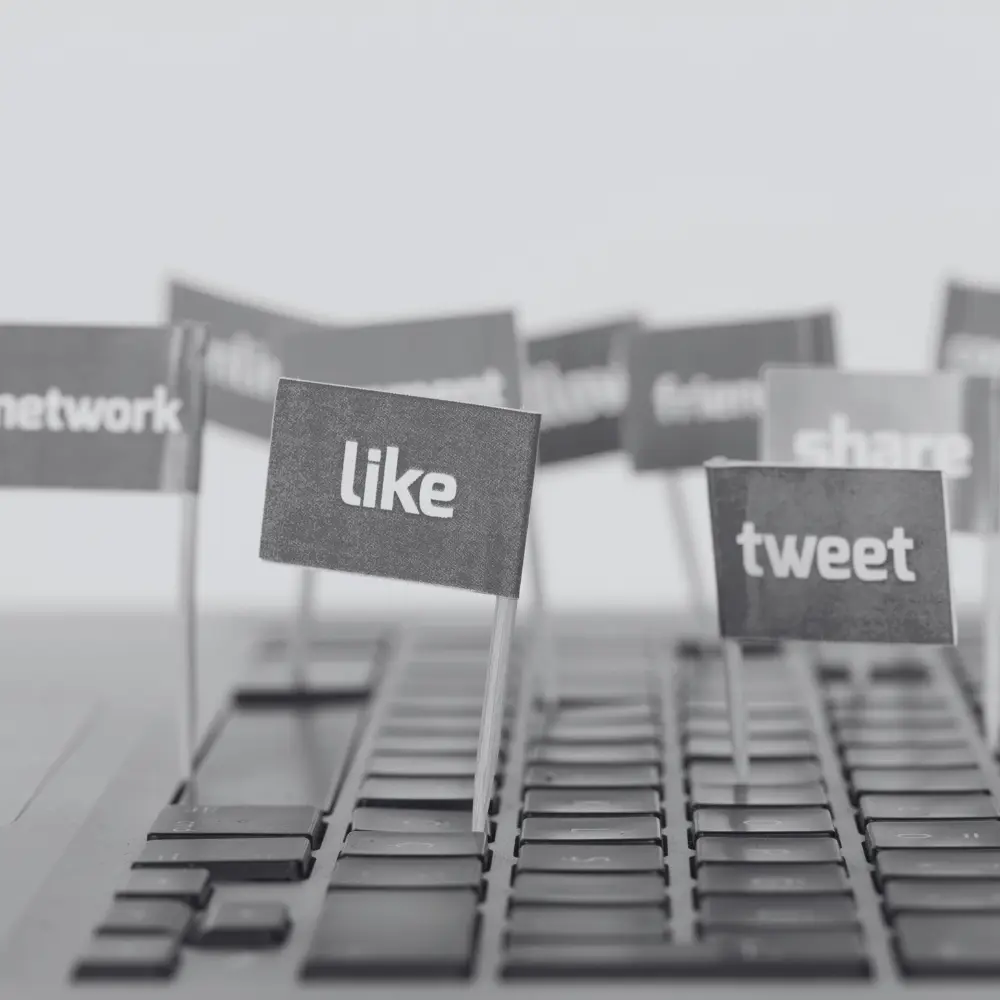 social media trace